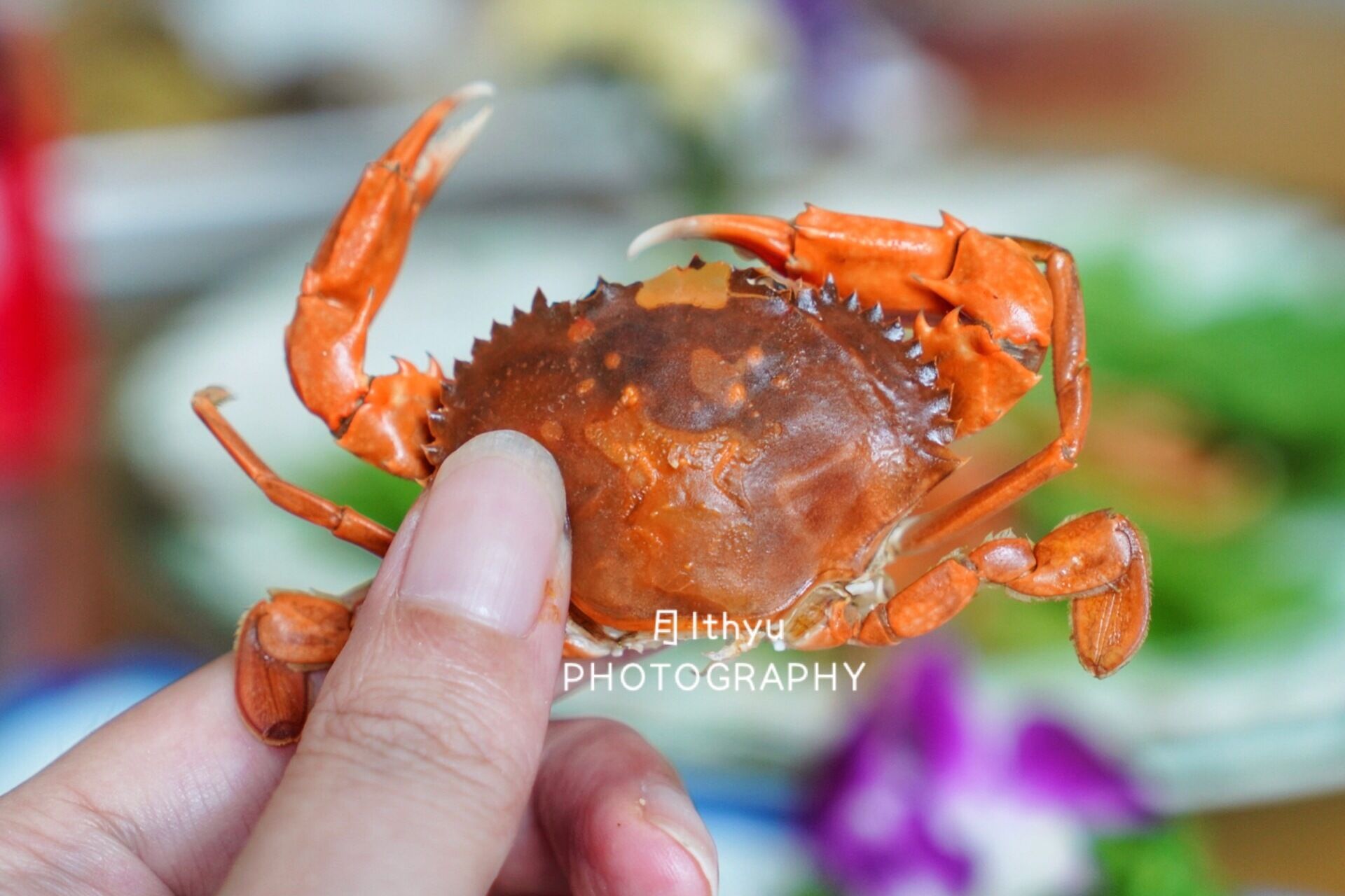 地道的厦门本地海鲜，居然在这间大排档吃到了