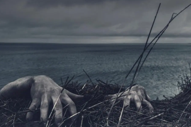 你相信僵尸吗？盘点自然界存在的五种&ldquo;僵尸&rdquo;生物