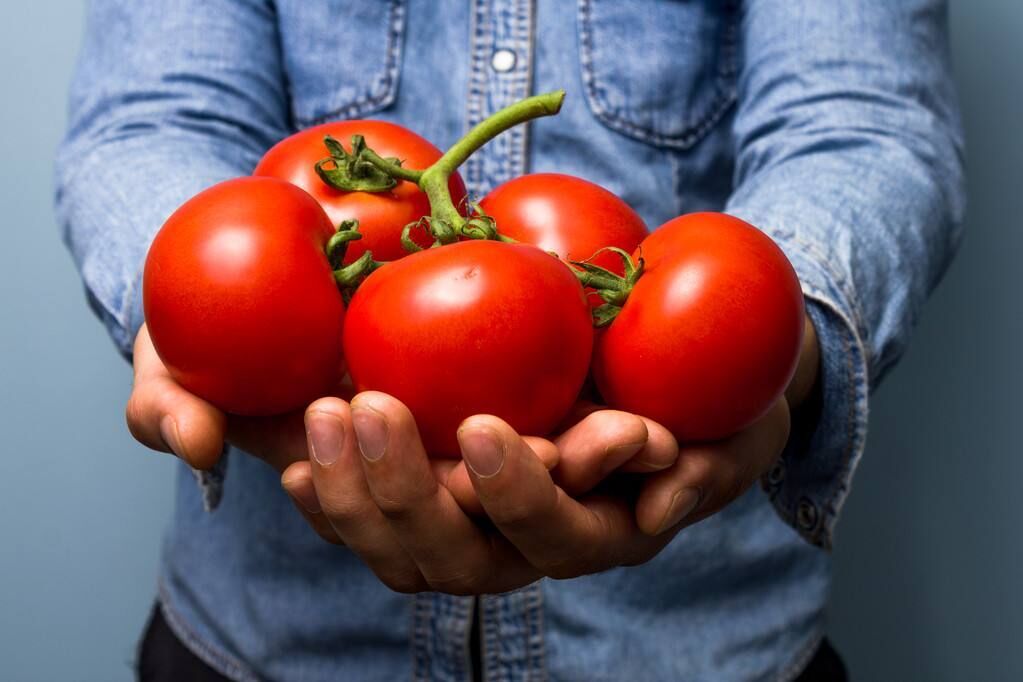 吃西红柿可&ldquo;生精&rdquo;，不过你得每天吃两公斤