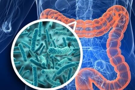 专家发现粪便或可治疗抑郁症：粪菌移植是否能治百病？