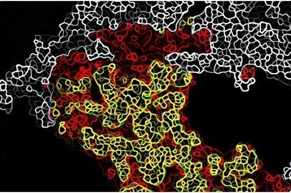 《自然》：癌细胞有多坏？它可以让好细胞&ldquo;叛变&rdquo;