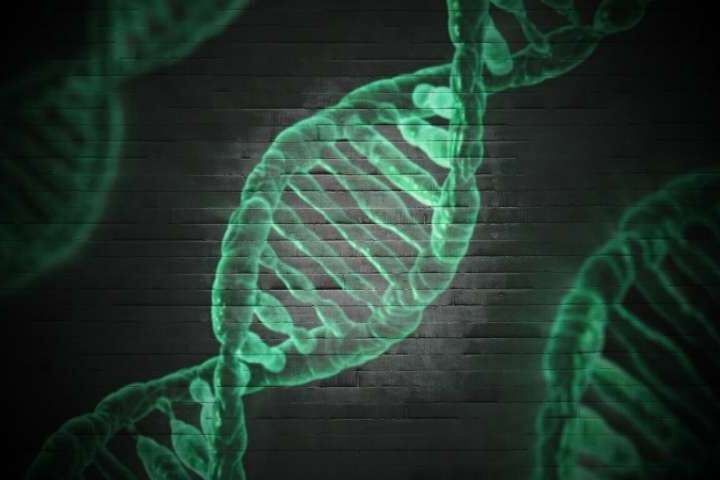 睡四个小时也能全天神采奕奕？人家自带&ldquo;短睡眠&rdquo;基因