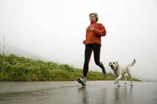 家里养狗，心脏更健康！《梅奥临床学报》为汪星人打CALL