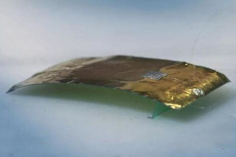 踩不死的机器人&ldquo;小强&rdquo;来了,可用于地震搜救