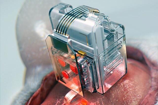 搜狐科学 |&nbsp;手机可以控制大脑了！科学家已实现对小鼠的控制和给药