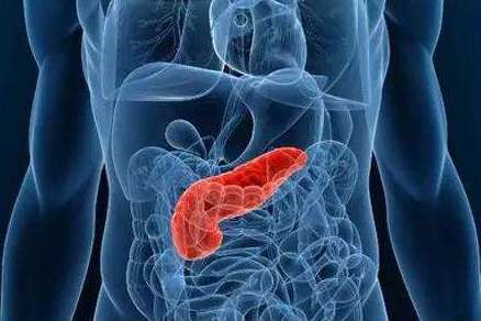 搜狐科学 | 你的血糖标准吗？专家发现高血糖及高胰岛素易导致胰腺癌