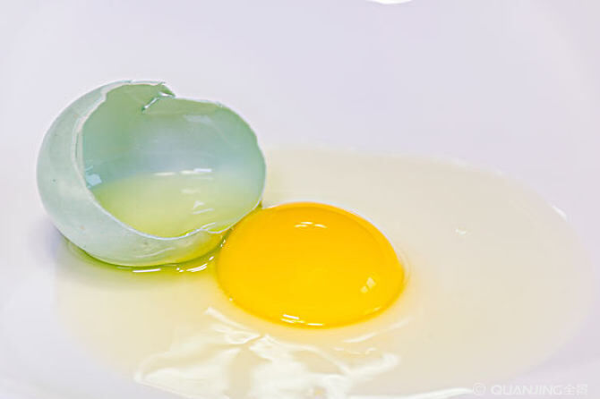 狐狸实验室 | 断了？阴茎可以再造吗