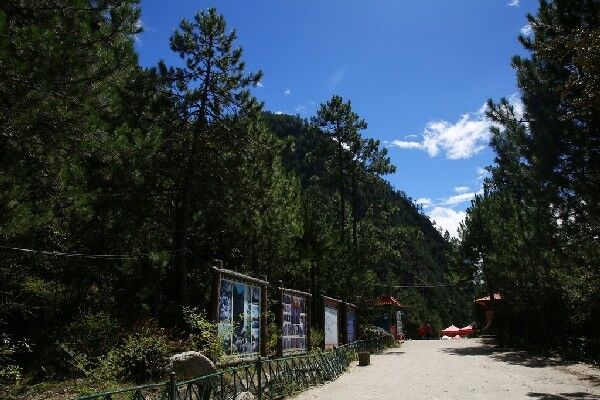 西藏这个位于G318林芝至拉萨段的景区，达到国家4A级景区评定标准