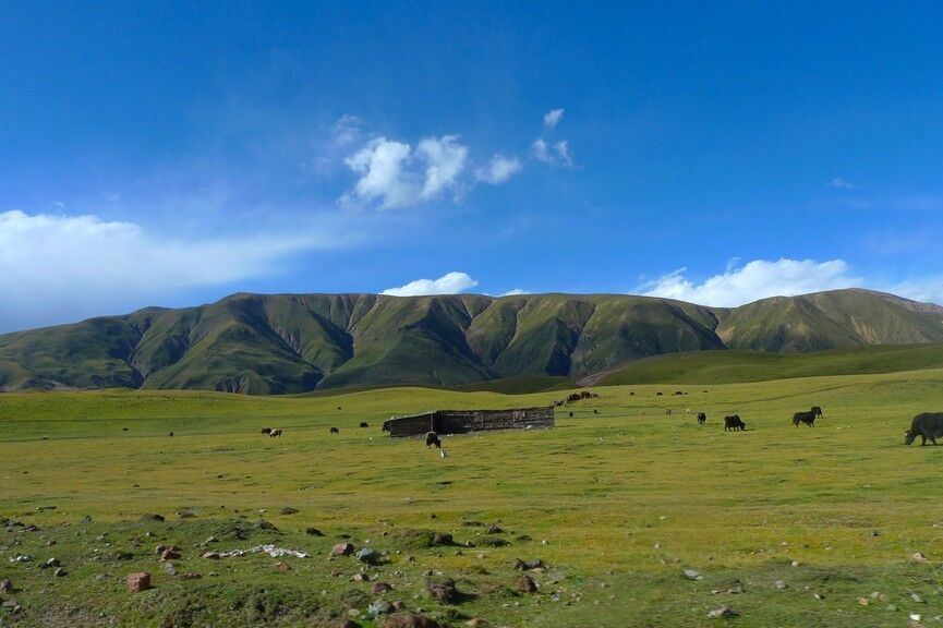 川藏线上特有的现象：临时组成情侣，到拉萨后就分手