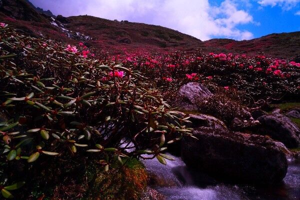 与西藏其他地方的相比，这里简直美得不似人间