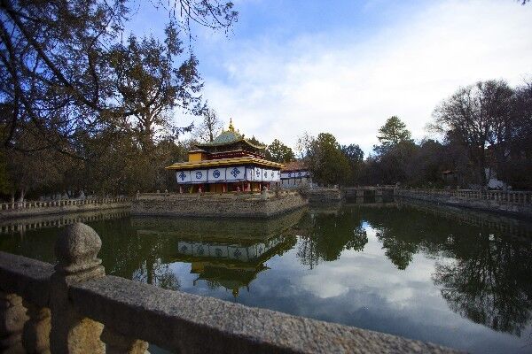 据说这个世界海拔最高的动物园，里面的动物曾是私人宠物