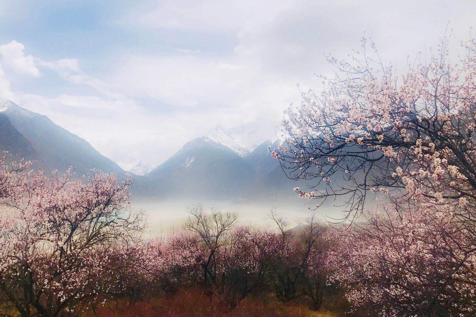 西藏最不容易发生高反的地方，一年四季都美的不像话