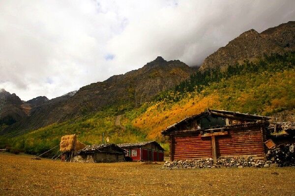 西藏这处不能随便进入的地方，是名副其实的绿色秘境