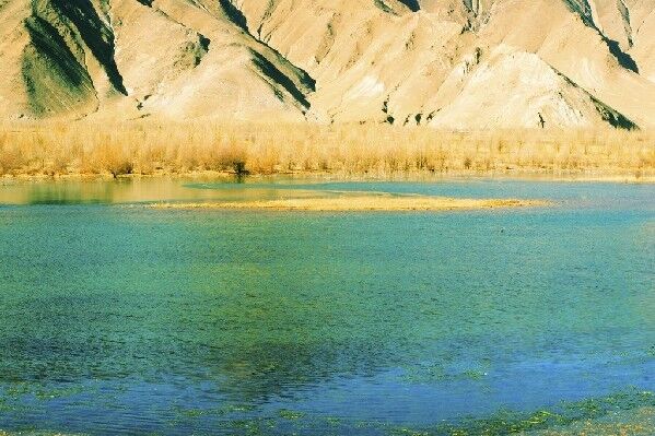 它是拉萨之肺、天然氧吧，也是中国各大城市中幸存的最大天然湿地