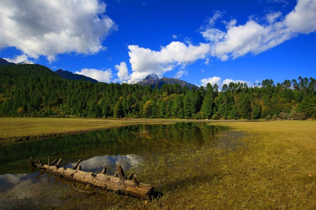 藏东有个神奇的县，十分低调却因为自身魅力吸引无数人前往