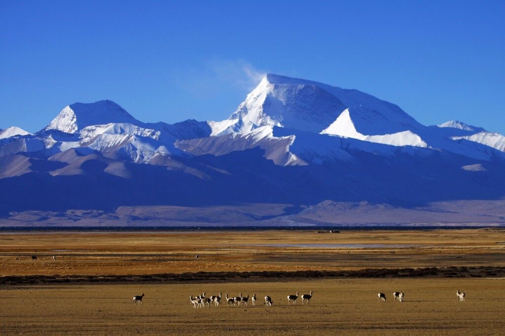 西藏有个任性的火车站，到站不会停，却有很多人慕名前来