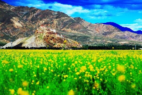 西藏有一处历史文化名城，被选入2019年中国最美县域榜单
