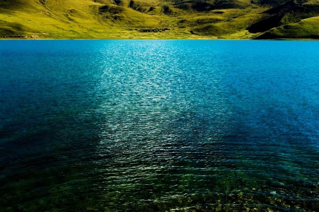 这个湖里的鱼多到随手一捞就能捞到几条，为何没人去抓呢？