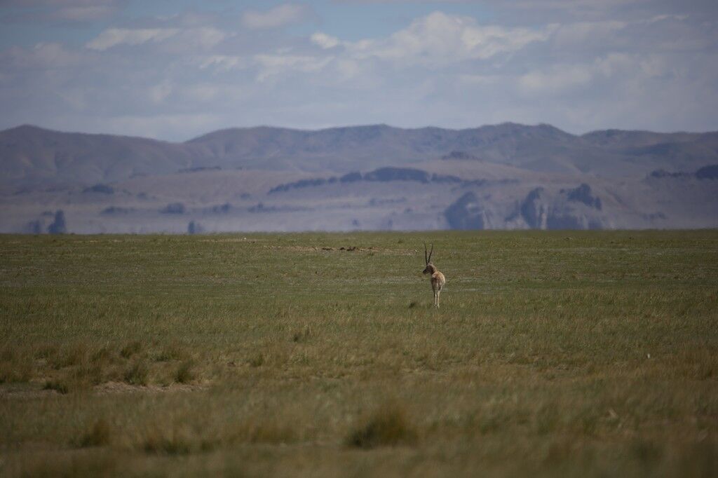 它被称为全球最难修的铁路，沿途风景如画，是中国人的骄傲！