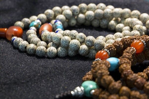 在西藏生活的“外来物”，竟充当当地“特产”多年