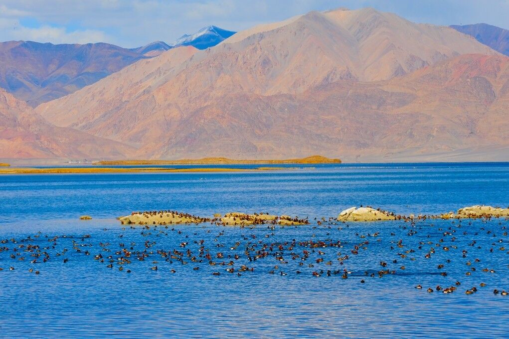 西藏的这个湖的四季，你只去过一季都不算去过