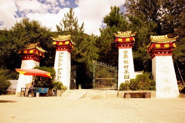 西藏这株巨柏2600多的岁数被推翻，有专家测出树龄为3200多年