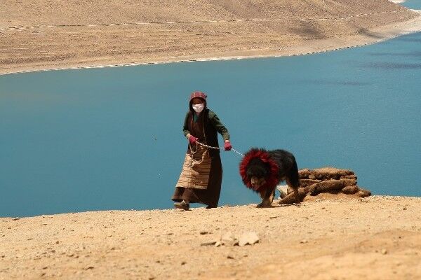 8月去西藏，一定要了解这些事