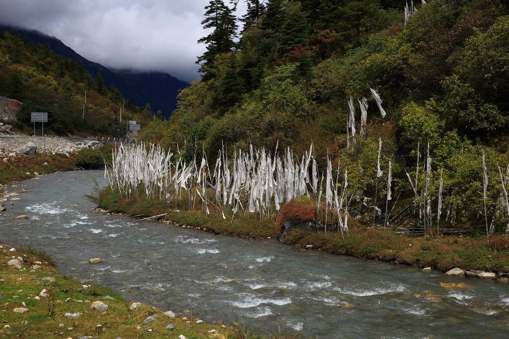 西藏这些奇特有趣的节日，你体验过几个