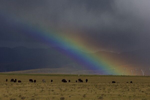 我国国土面积最大的地级市，条件比较恶劣，却孕育了独特的美景