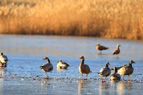 西藏这块最容易被人忽视的地方，是名副其实的“拉萨之肺”