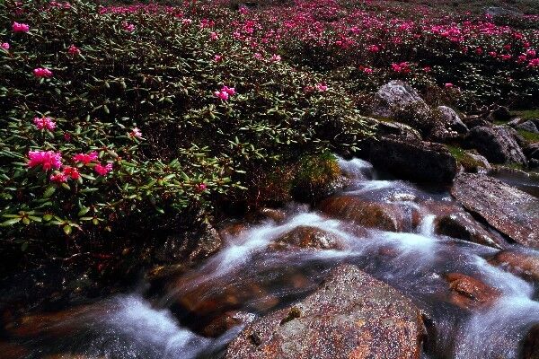 我国这条不起眼的小沟，竟是喜马拉雅山东段向南伸展的一条大峡谷
