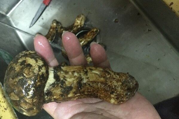 西藏这10个知名度高的地理标志产品，获得了“国际护照”