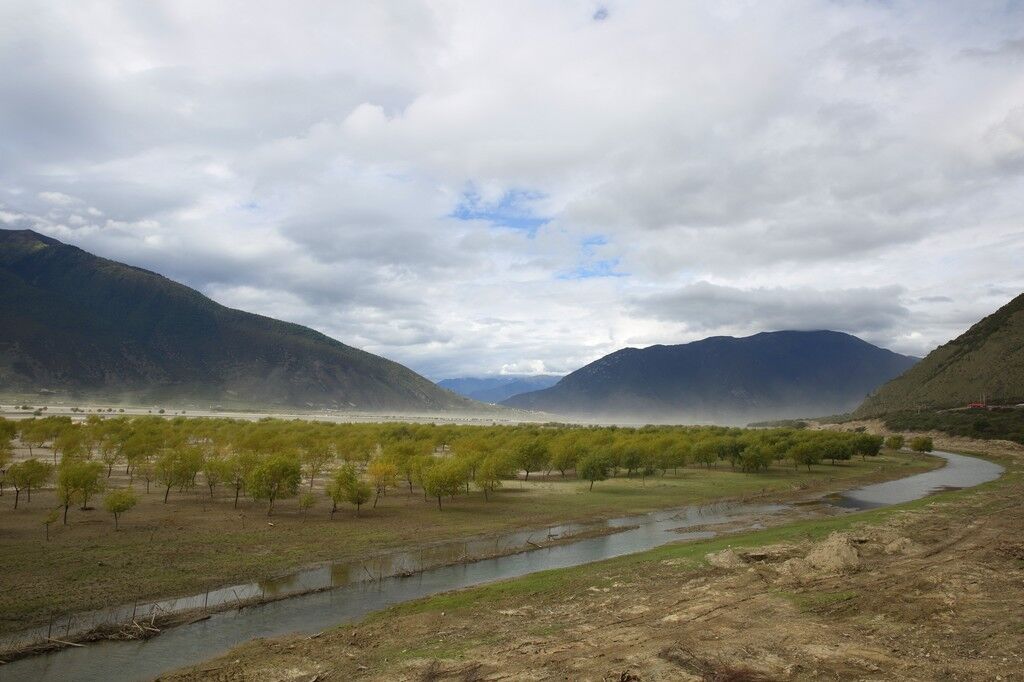 有"世界巨柏王"之称，当地人视为神树！