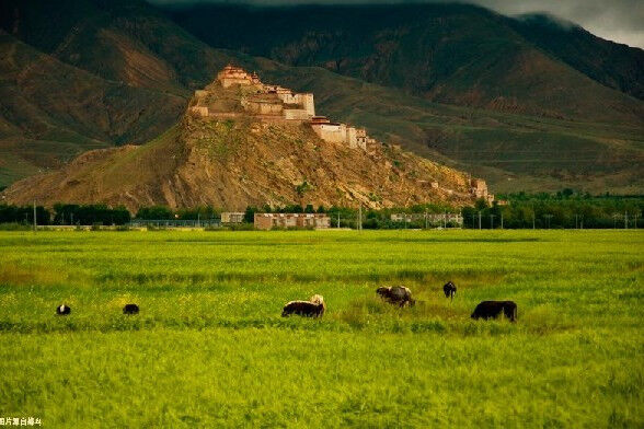 与拉萨相隔三百公里的西藏第二大城市，却大不相同