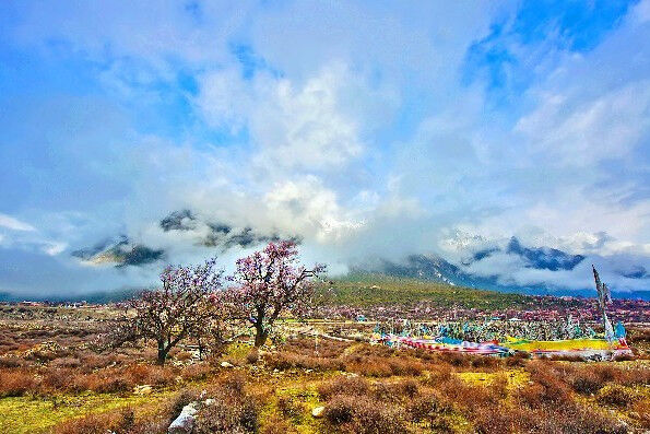 闻名川藏线的一道“天价菜”，却依然有很多人慕名而去