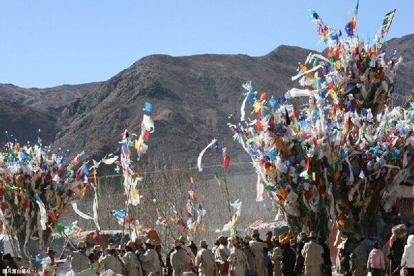 在西藏高原的春耕时节上，“二牛抬杠”与“铁牛”的合作非常和谐