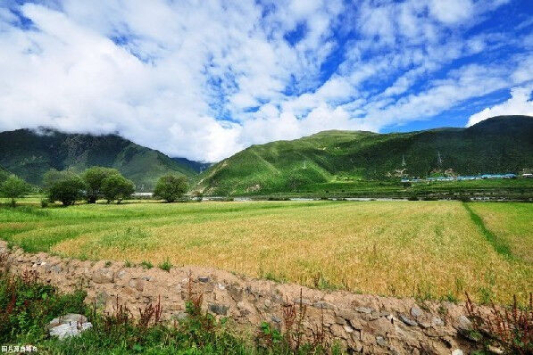 西藏饮食上的“差异”，有的大多数人都难以接受