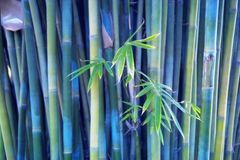 下周起贵人助力，财星入命，事业运突飞猛涨，钱财大赚的3大生肖