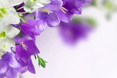 从下周开始富贵盈门，求财有道，事业红红火火，八方聚财的3生肖