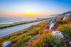 下周开始运势高涨，喜鹊报喜，财星入库，职场步步高升的3大生肖