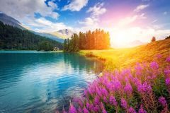 好运追着跑，喜鹊来报到！这3生肖12月中旬福气延绵，招财纳福