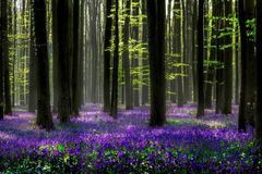 下周起喜事多见，财运飙升，富贵盈门，贵人相助，生活无忧的生肖