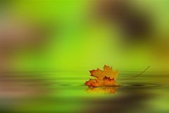 好运连连，富贵在眼前！这3生肖12月底开始吉星庇佑，顺遂如意