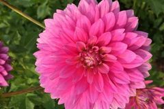 未来一个月财神青睐，职场顺遂如意，升职加薪，求财顺利的3生肖