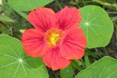 好运常相伴，贵人家中坐，这3大生肖12月富贵盈门，财源广进