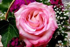 福气满满，好运一发不可收拾，财源广进，日子越过越有富有的生肖