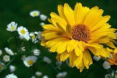 12月贵人相助，财神撑腰，求财得财，事业顺风顺水的3大生肖