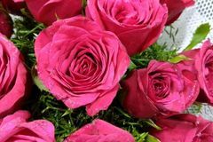 未来十天财运高涨，好运相伴，贵人相助，赚得财库满溢的3大生肖