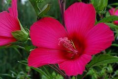 12月财神爷保佑，这3大生肖财运大旺，富贵延绵，开始赚大钱！