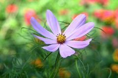 12月开始贵人相助，轻松走上发财路，财源滚滚来的3大生肖